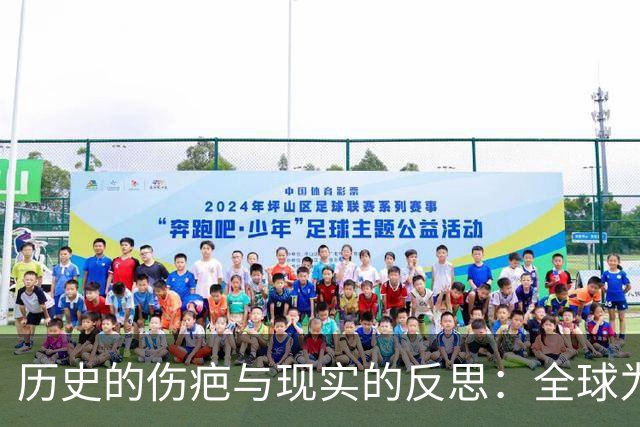 历史的伤疤与现实的反思：全球为何不跟随西方的脚步